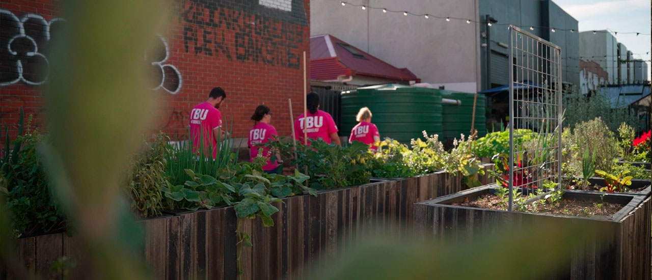 People wearing pink TShirts work in an urban garden. Raised garden beds filled with green plants can be seen beside brick walls. 