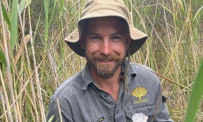 Project works to save endangered daisy from extinction